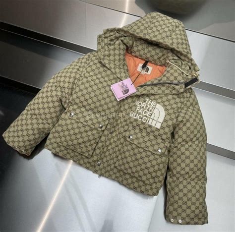 the north face gucci kraantje pappie|north face Gucci jacket.